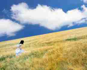 专​业﻿谷‍歌‌SEO方‌法﻿